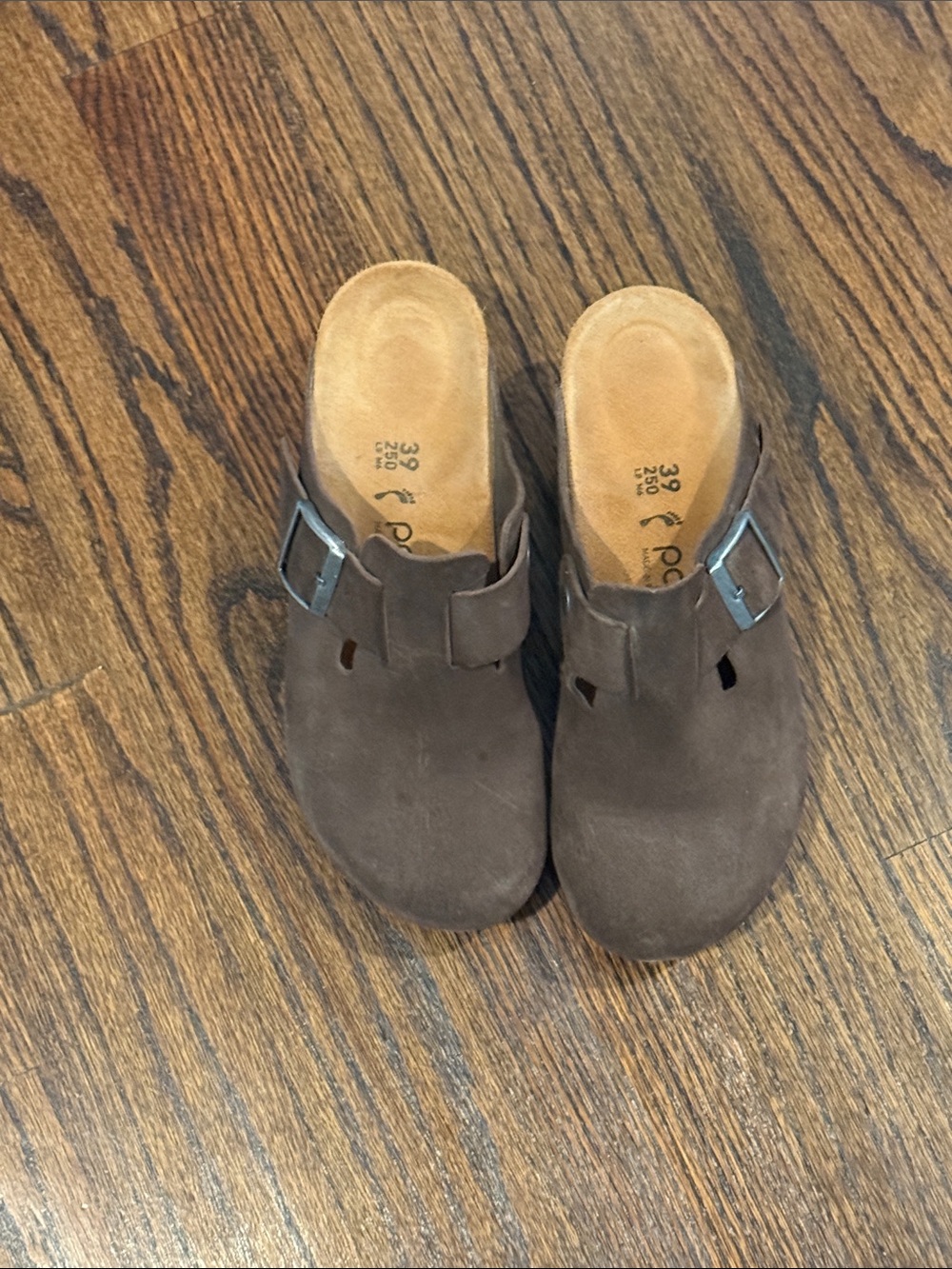 Papillio Brown Suede Buckle Clog Mules